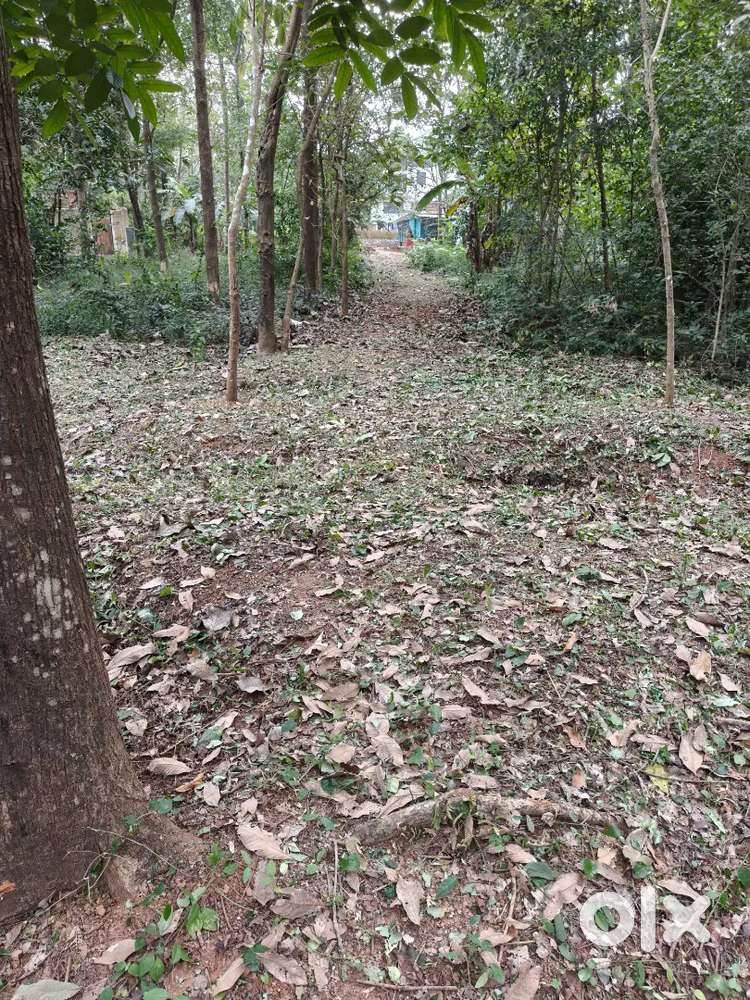 24 cent plot for sale in Aryambavu