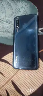 Vivo. Y19.