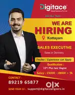Sales executive
