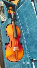 Violin guitar