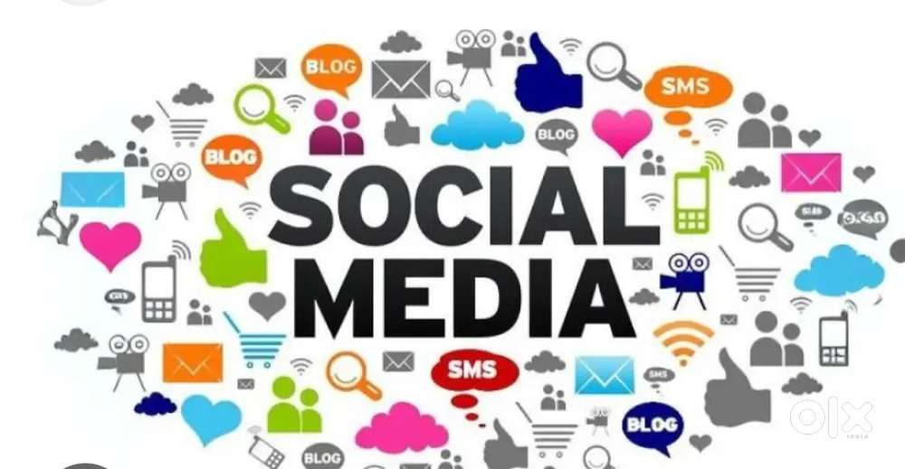 We hearing female team