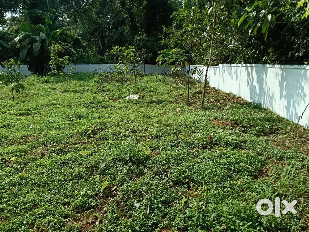 ചാലക്കുടി കരൂരിൽ 37സെന്റ് സ്ഥലം വില്പനക്ക്