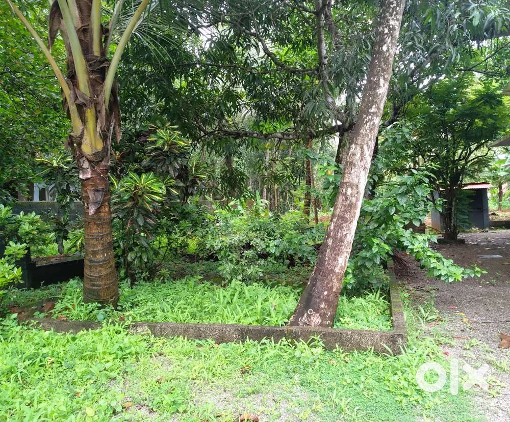 9cents land for sale oorutambalam main road