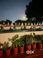 Veg Cook required
