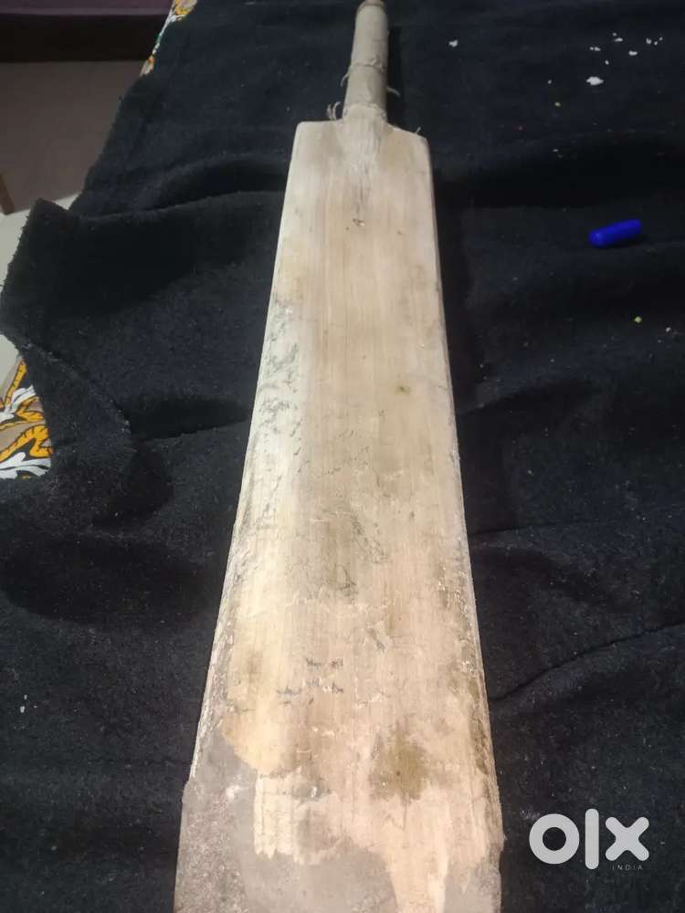 Cricket bat