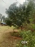 29 cents East(Road facing) site available for sale near Anandapuram.