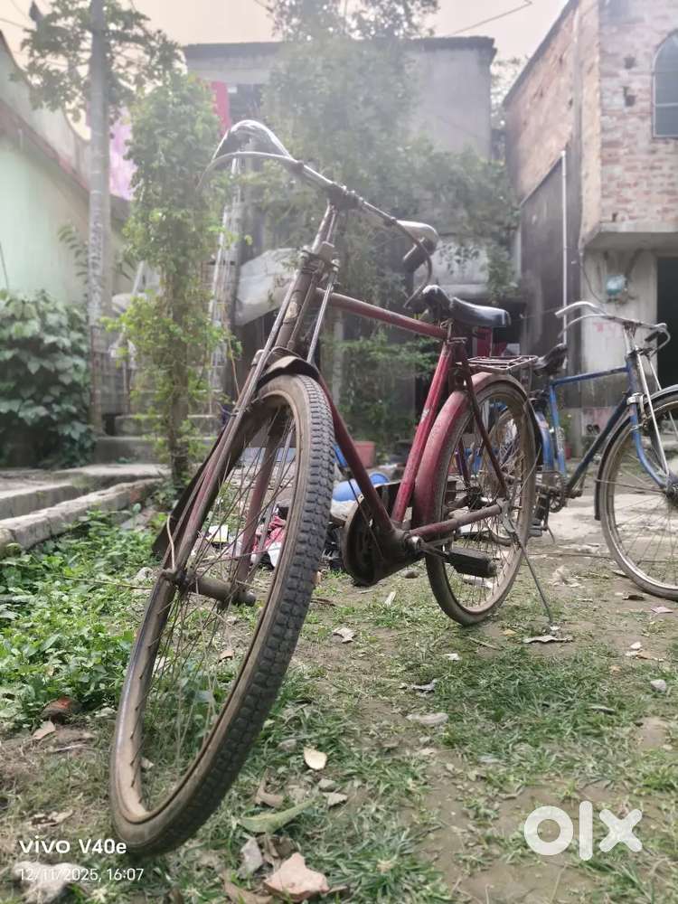 Buy one get one free