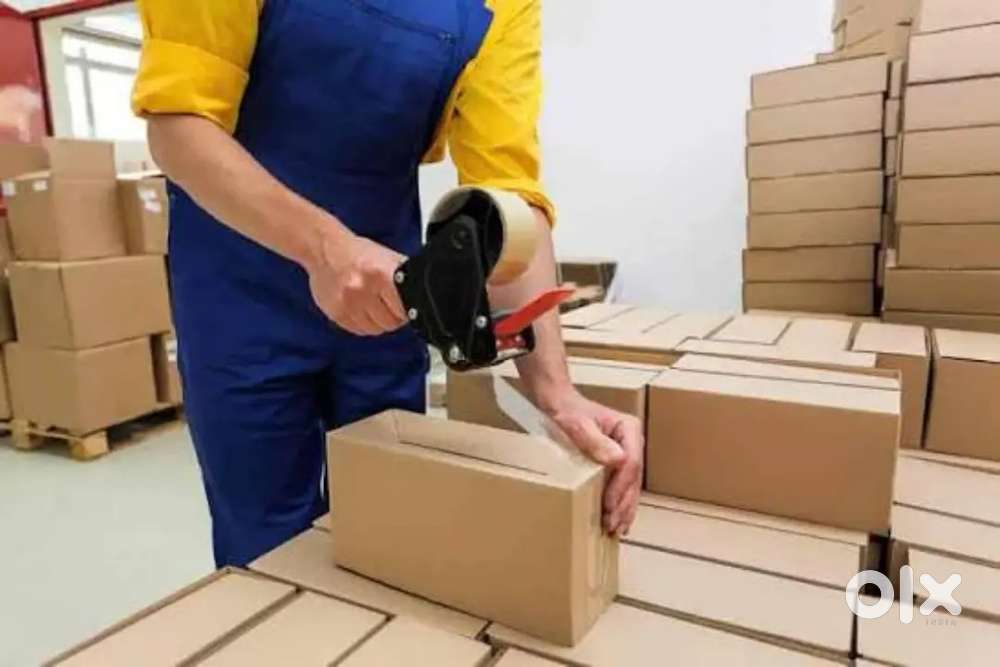 Toys warehouse parcel packing job