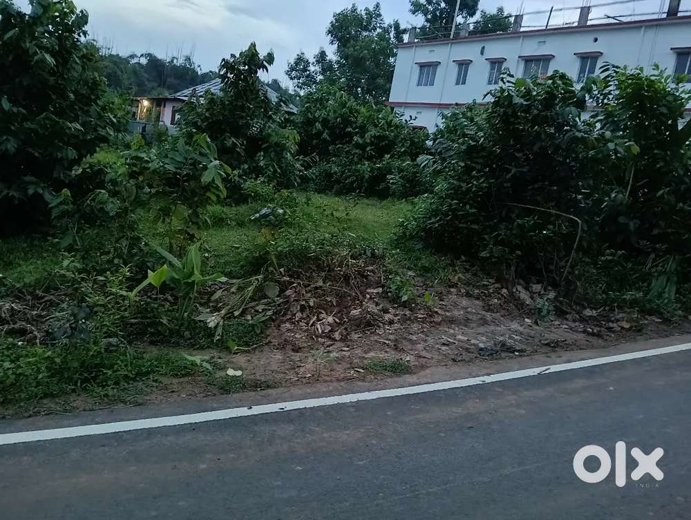 গান্ধীগ্রাম রবিশঙ্কর স্কুলের সামনে তিন গন্ডা প্লট