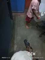Muslim basti