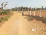 Sale for 4.2 acres layout