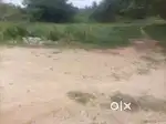 Agriculture land