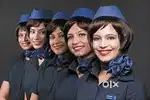Description Cabin Crew/ Airport Ground Staff Jobs in Airport  Intervie