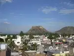 Raganapalle