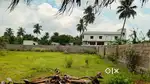 OPEN Plot for sale sheela nagar