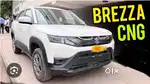 Maruti Suzuki Brezza PB09