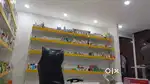Racks, study table and chairs