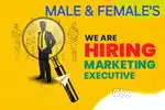 MARKETING MANAGER JOB'S @  MANGALAGIRI (MALE & FEMALE'S)
