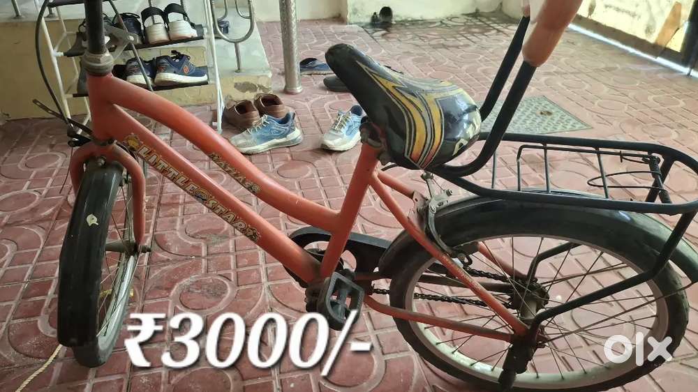 Atlas & Momstar Bicycle