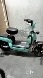 China scuty