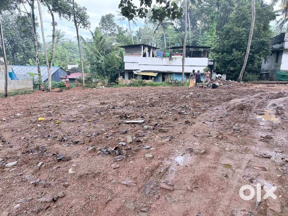 30 Cents plain land for sale at Thannivila- Mudavoorppara