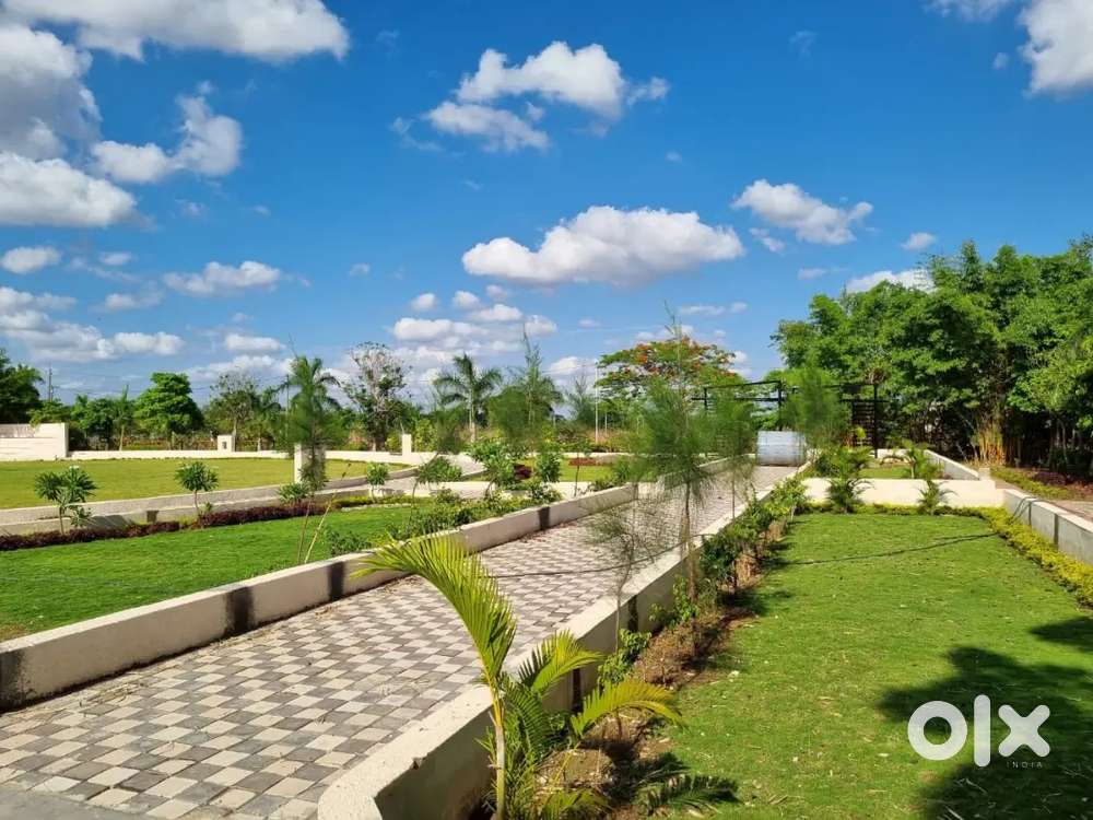 Near to Nature And Peace