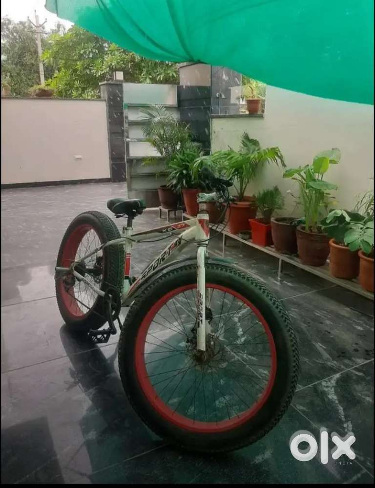 Fat bike  x6