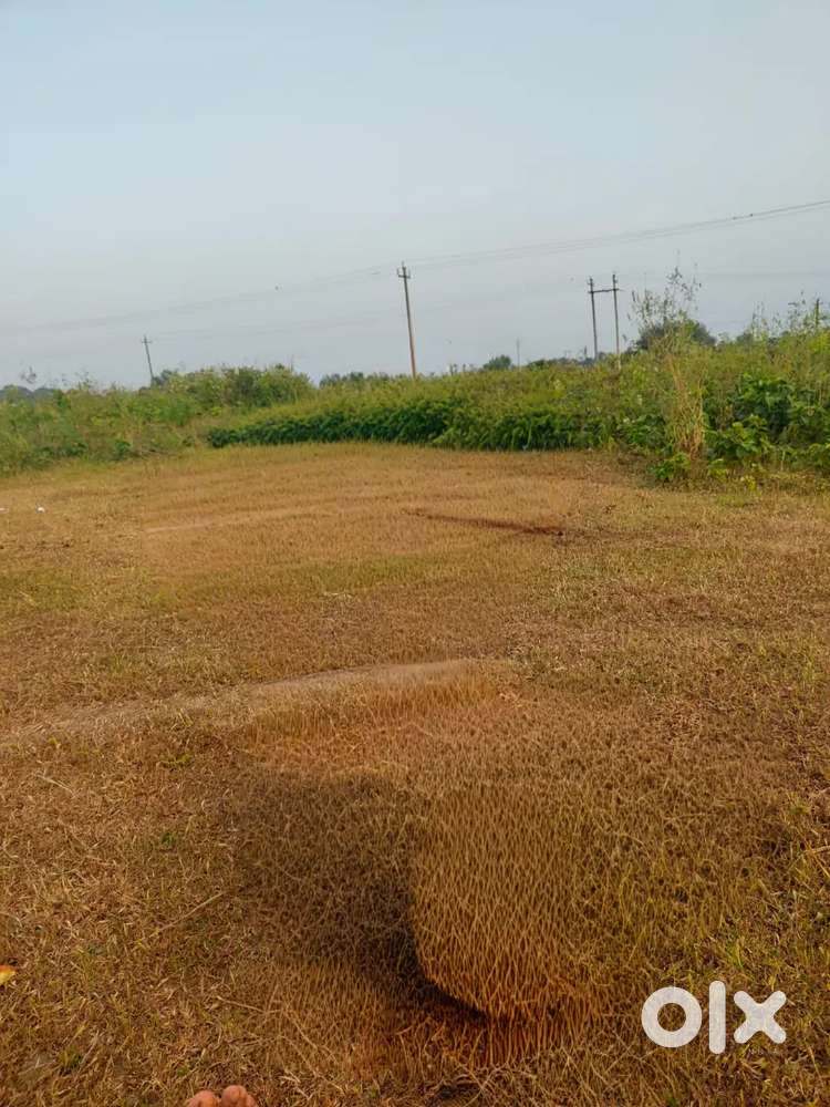 2 katha land selling in gospaipur at low price kotiyan. Emergency need