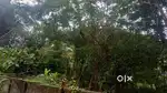 Land for sale Nalanchira Benedict Nagar