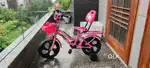 Kids Bicycle with Pink Storage Basket and Balance Wheels