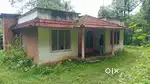 പൂതാടി പഞ്ചായത്തിൽ 2.45 acre സ്ഥലം വിൽപ്പനയ്ക്ക്