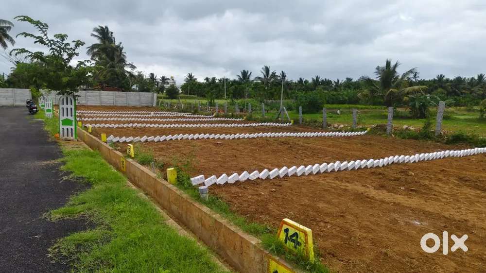 Plot for sale in Nelamangala