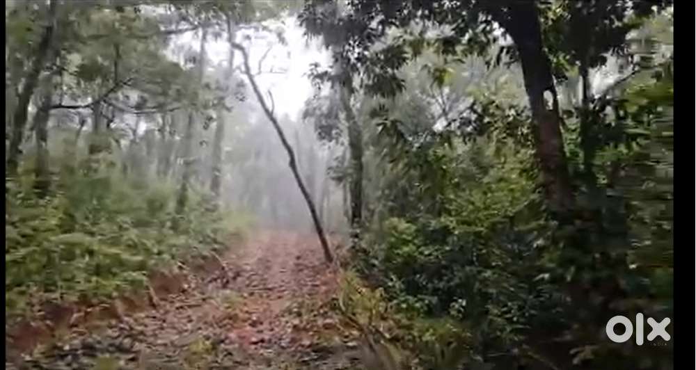 42 Acre land with Natural Waterfall – Near Malhalli Falls ️ Saklesh