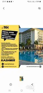 Travel Sales Executive