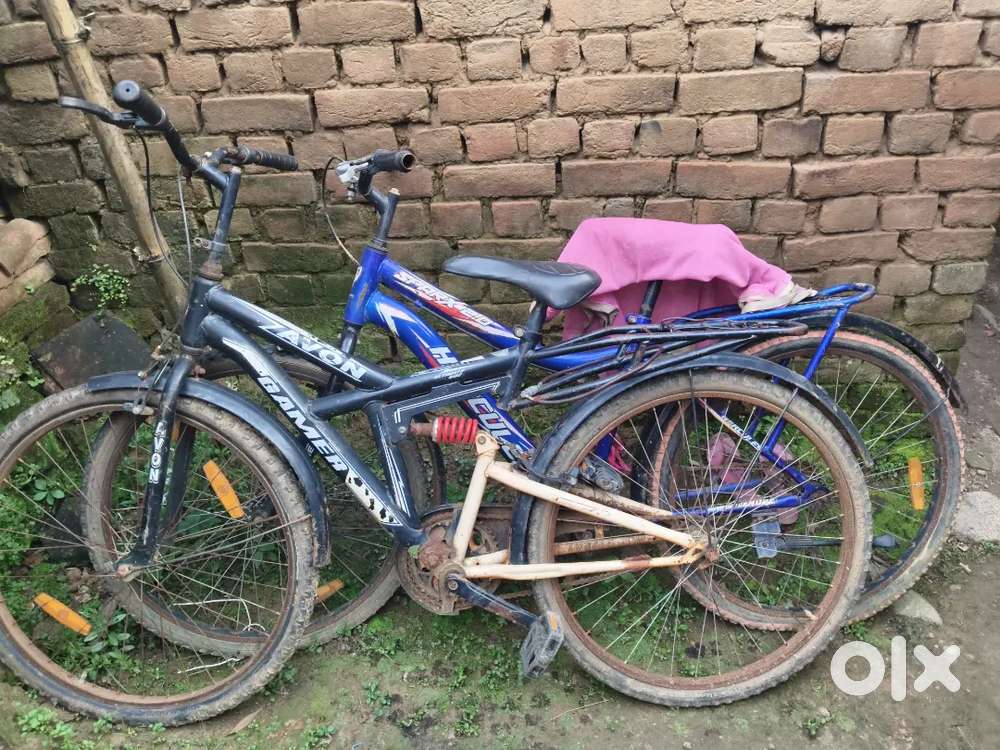 Avon cycle