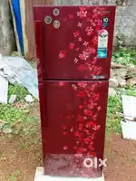 Double door fridge available