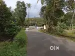 45 CENT HOUSE PLOT & 1106 SQUARE FEET HOME FOR SALE KOTHAMANGALAM