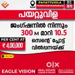 10.5 -cent residential plot for sale in payattuvila