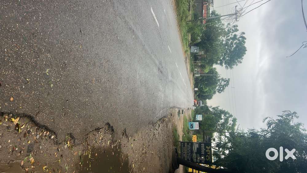 Looking house/ kothi near payal