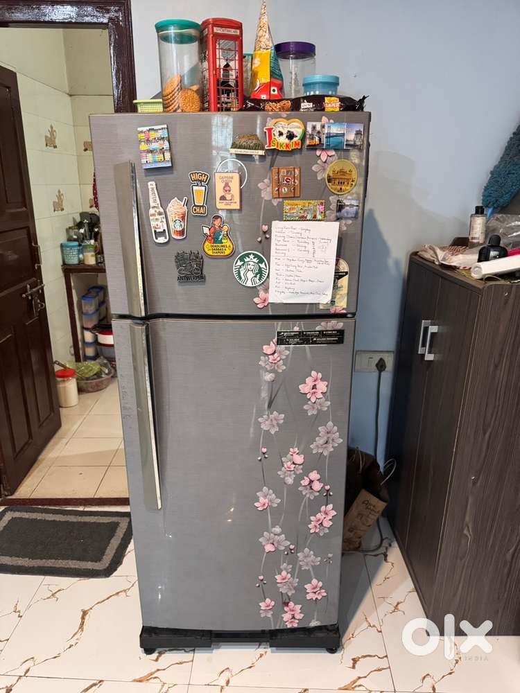 Godrej eon 242 lotres double door refrigerator with invertoer compress