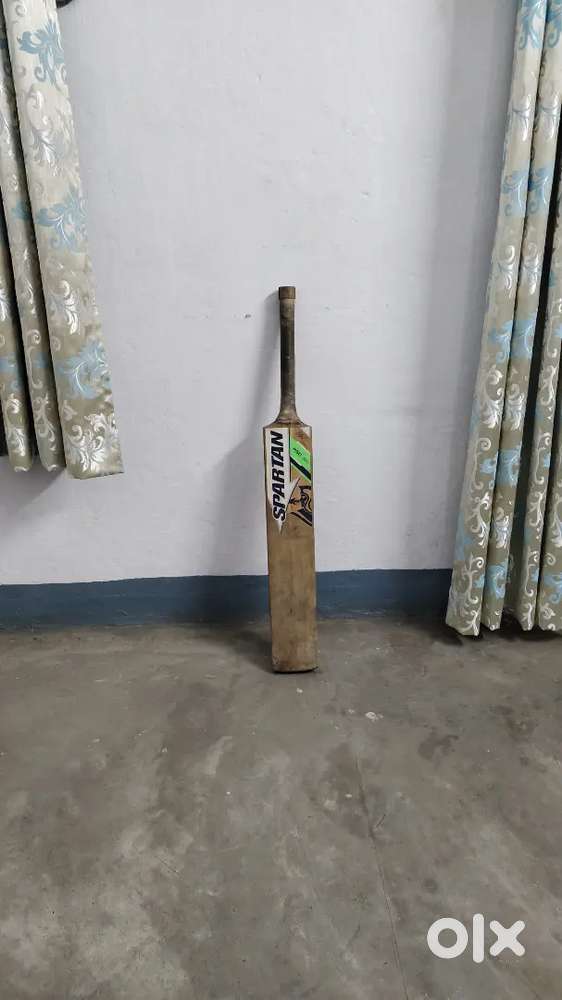 Spartan kasmir willow duce bat