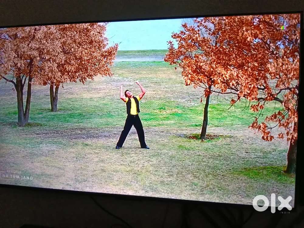 TCL QLED 55 INCH