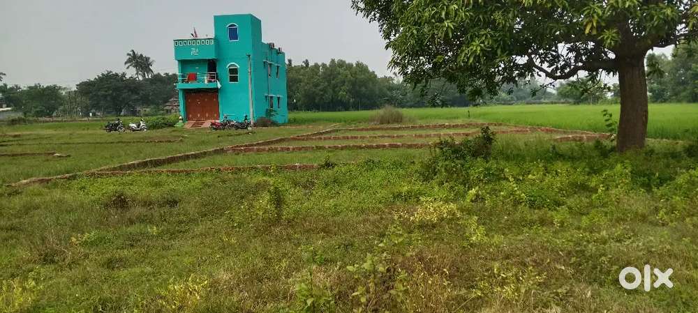 Immediately house purpose