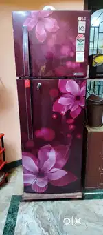 LG 310 L 4 Star Frost Free Double Door Refrigerator GL-U322JSOL
