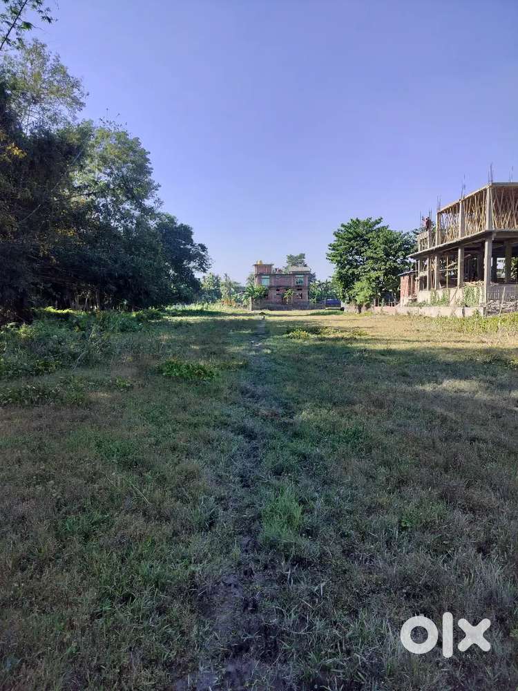 1 Bigha Myadi Patta Land