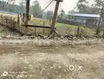 3ktha,near by pipira dukan