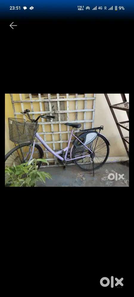 Ladies ycle