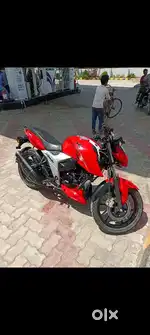 Brand new hai