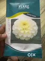 Meesho pr kaam krna hai
