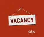 Work from home ( only for female)
